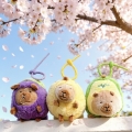 Llavero peluche capybara