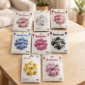 Set de globo 10 pcs